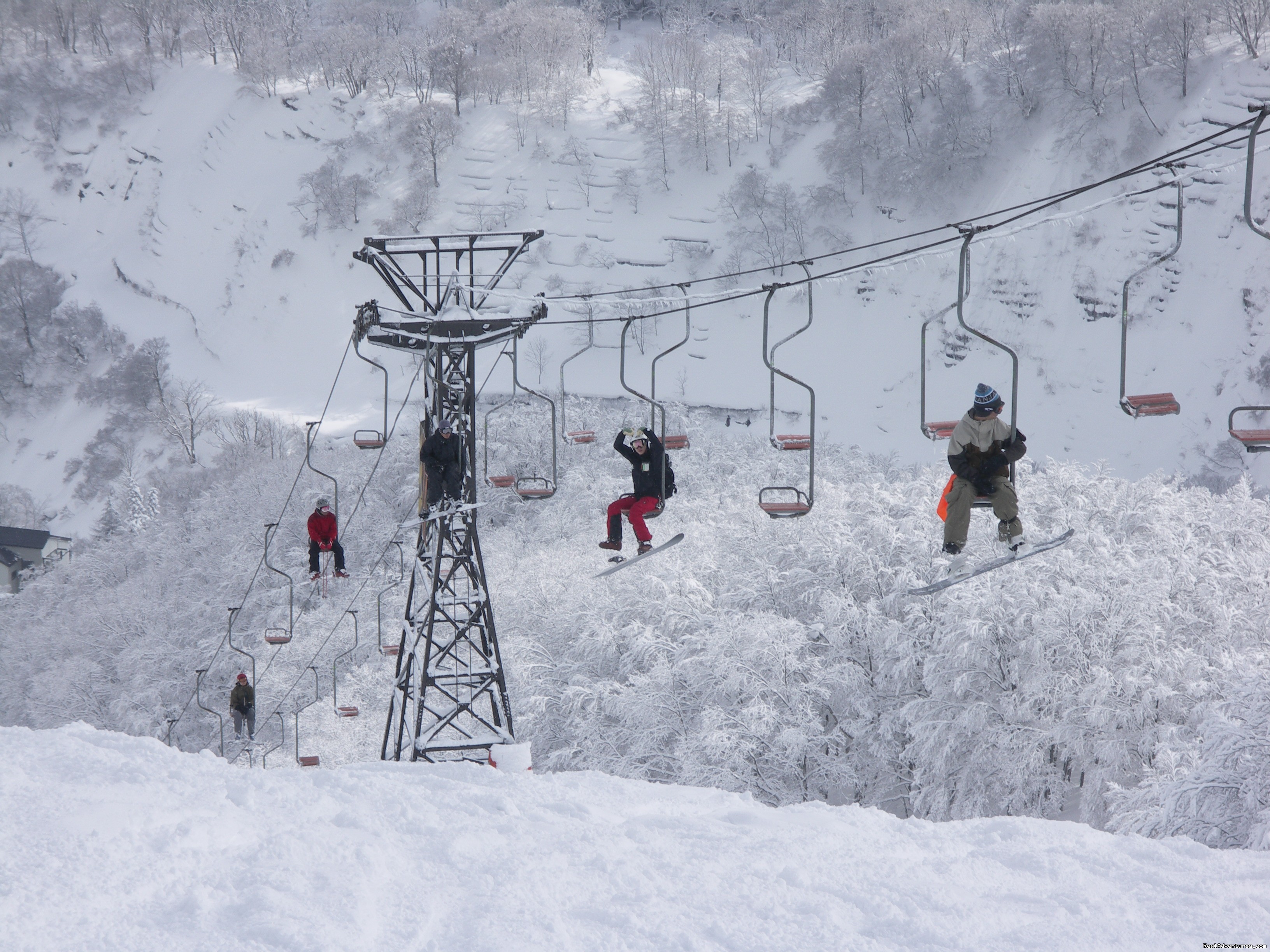 Hakuba Powder Tours - Japanese Skiing at its Best, Nagano, Japan Skiing & Snowboarding 