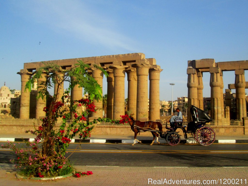 Habibitours | Cairo, Egypt | Sight-Seeing Tours | Image #1/2 | 