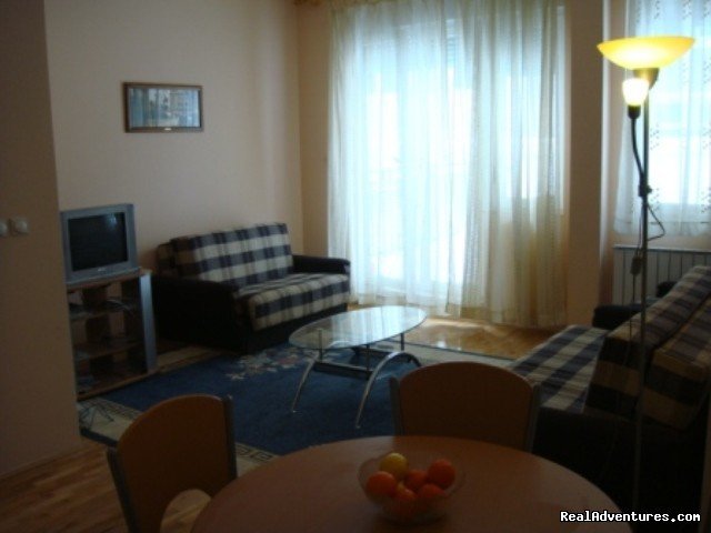 Visnja apartment | Belgrade, Serbia | Bed & Breakfasts | Image #1/14 | 