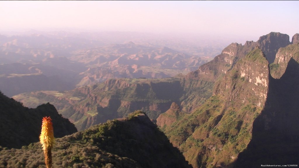 Tour and Travel to Ethiopia | Image #9/12 | 