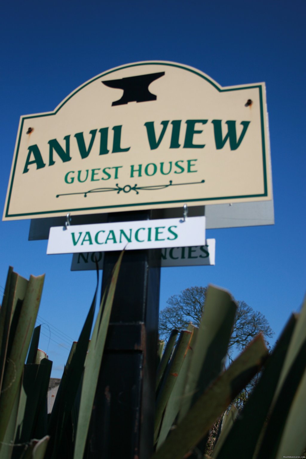 Anvil View Guest House Gretna Green | Anvil View Guest House  | Image #9/11 | 
