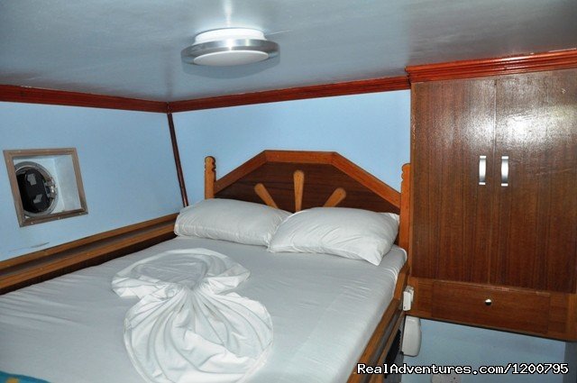 Room no,1 of  our liveabord Dolphin-1 | Maldives Trips - Fishing, Surfing, & Scuba Diving | Image #15/19 | 