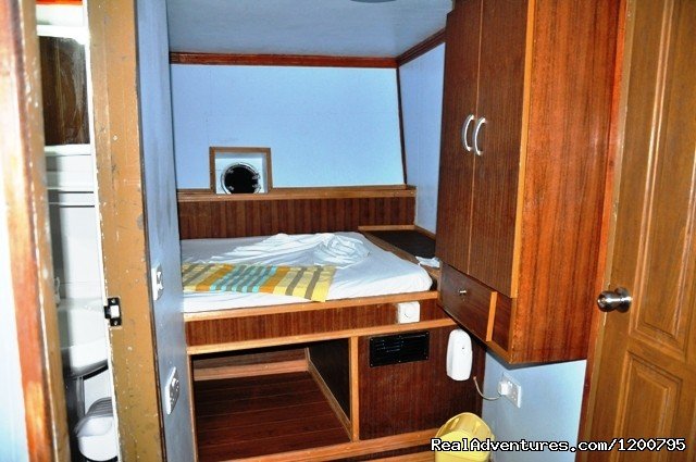 Room-no,5 in our live aboard Dolphin-1 | Maldives Trips - Fishing, Surfing, & Scuba Diving | Image #16/19 | 