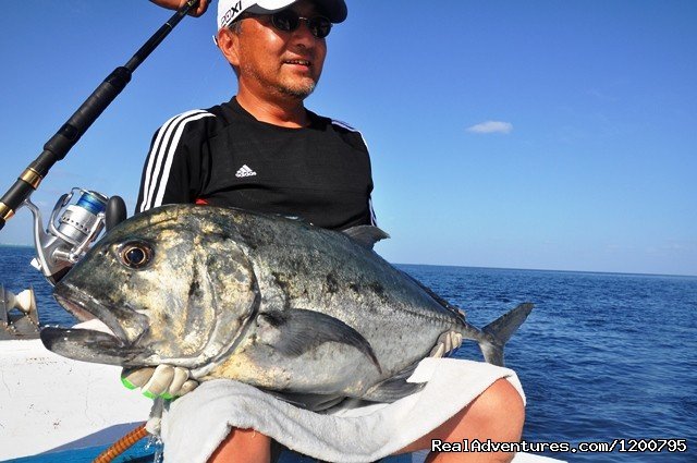 Nakamura san trip with Dolphin  May 2012 | Maldives Trips - Fishing, Surfing, & Scuba Diving | Image #14/19 | 