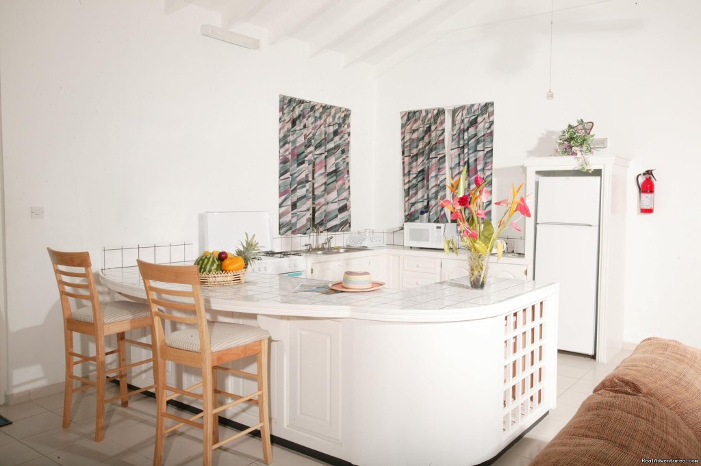 Spacious  kitchen | Four Springs Villa | Image #6/6 | 