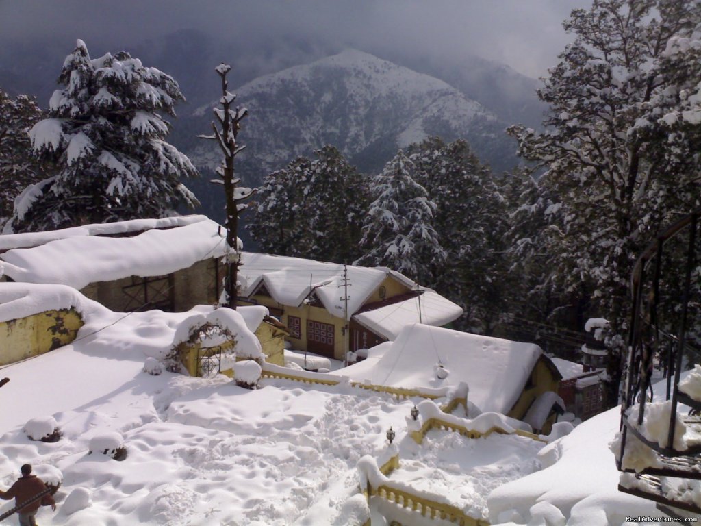 Sagrika Resort During Snow  | Sagrika Resort Dalhousie HP India  | Image #2/7 | 