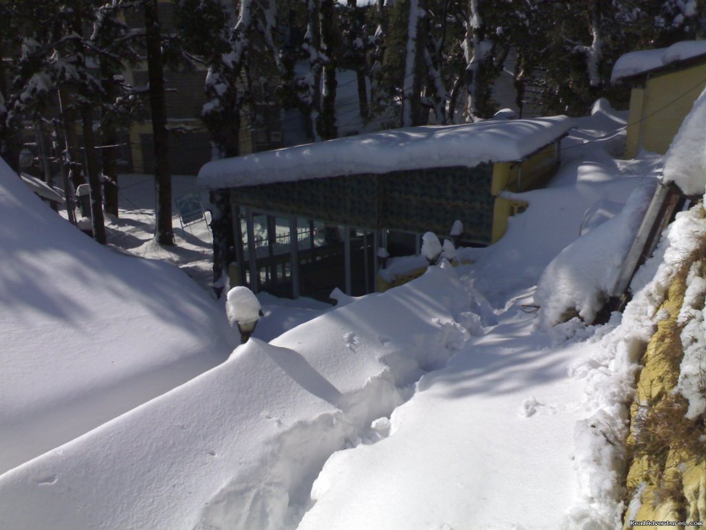 Sagrika Resort During Snow Stairs | Sagrika Resort Dalhousie HP India  | Image #7/7 | 