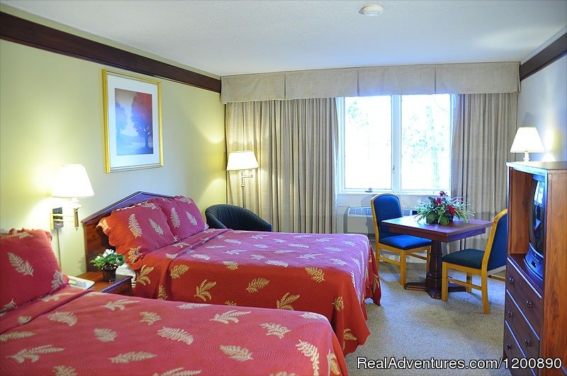 Standard Double Room | Romantic & Family Vacation Getaway, Wine Tours | Image #10/21 | 