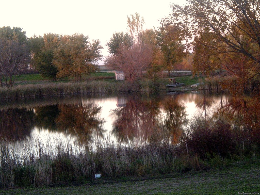 The pond in October | InnSpiration Bed & Breakfast- A Country Getaway | Image #11/23 | 