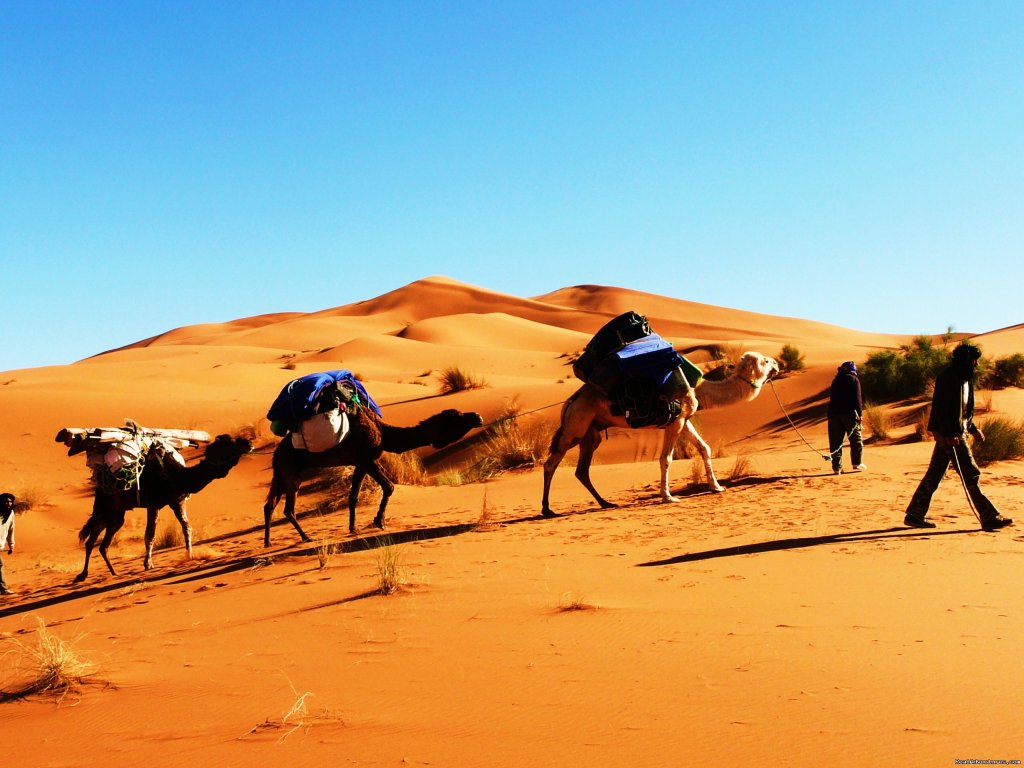 Magic carpet/ family vaccations | Travel agent/ adventure- culture trips to Morocco  | Image #3/24 | 