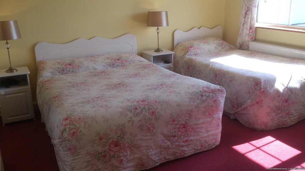 Bedroom 1 | Birchgrove | Oranmore, Ireland | Bed & Breakfasts | Image #1/12 | 