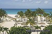 Bucuti Beach Resort | Eagle Beach, Aruba | Hotels & Resorts