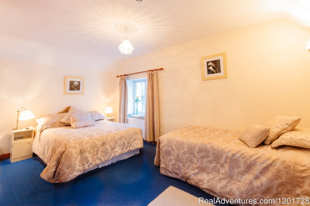 Our Twins room | Cawley's Guesthouse HOTEL | Image #5/11 | 