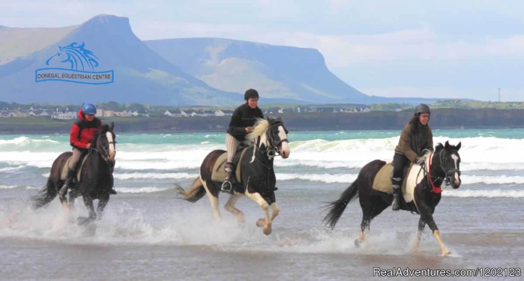 Horse Riding on the beach | Nesbitt Arms Hotel | Image #8/14 | 