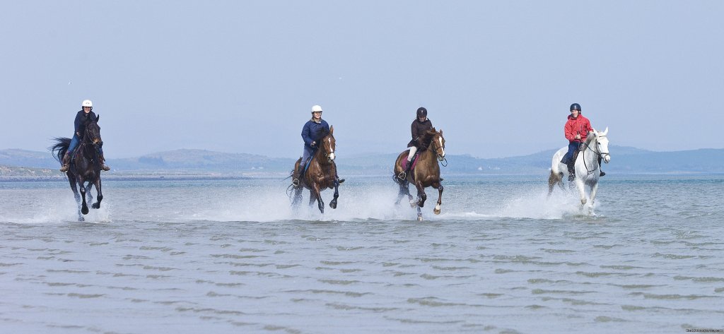 gotrekking Horses on the beach. | Best Western Plus Westport Woods Hotel | Image #9/19 | 