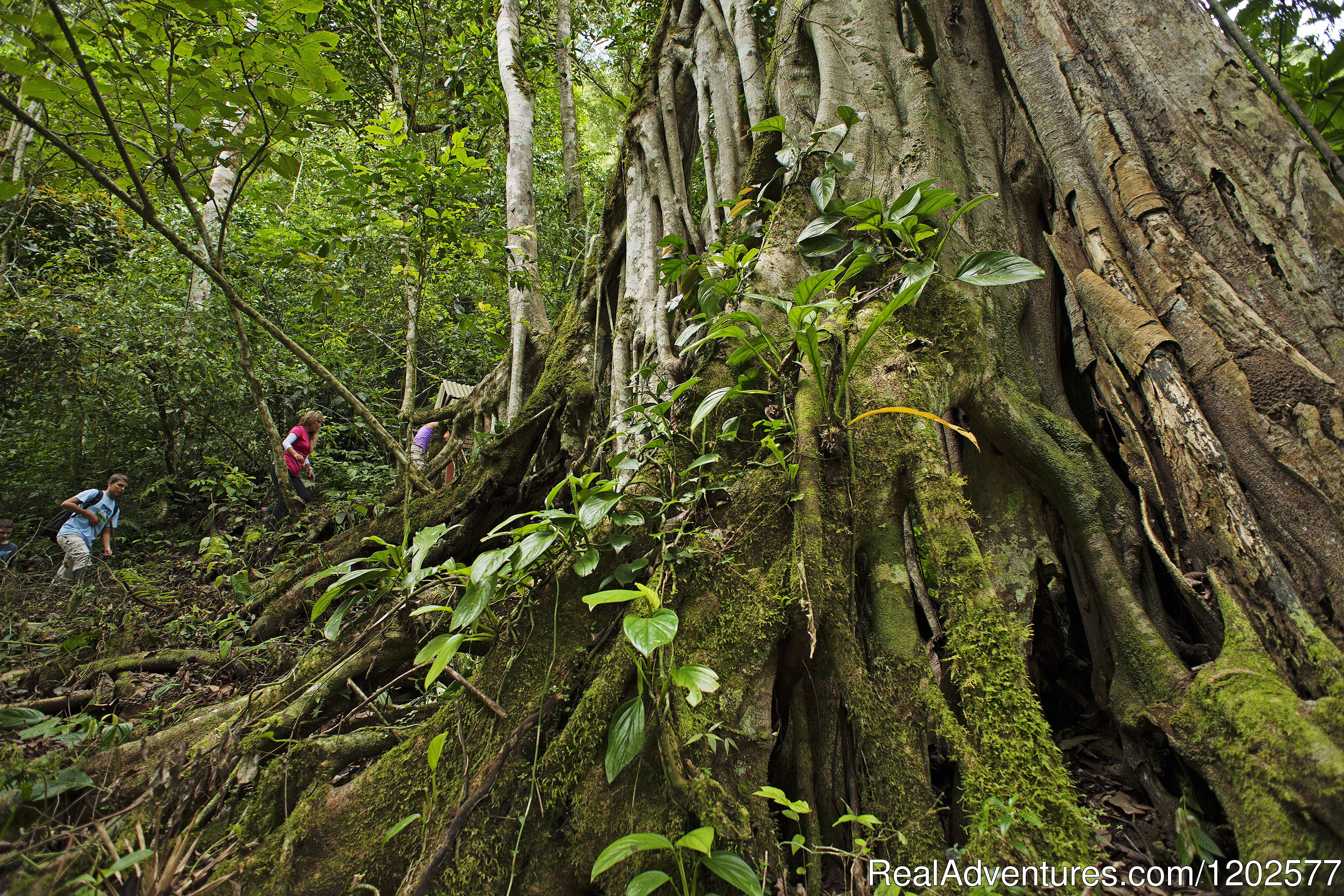 Pampa Hermosa Ecolodge, Chanchamayo, Peru Hotels & Resorts RealAdventures