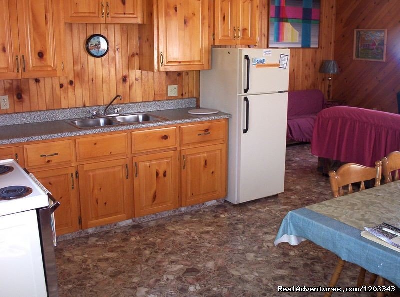Kitchen in three bedroom cottage. | Orchard View Farm Tourist Home & Cottages | Image #4/6 | 