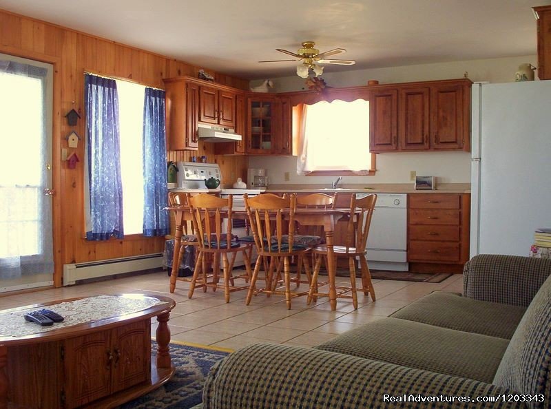 Living room and kitchen in four bedroom cottage. | Orchard View Farm Tourist Home & Cottages | Image #6/6 | 