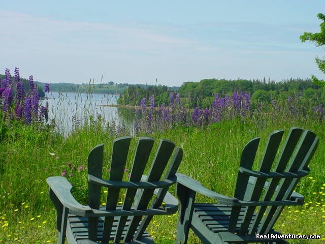 A quiet place to enjoy | Bayview Pines Country Inn | Image #2/4 | 