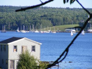 Trellis House Accommodation | Cape Breton Island, Nova Scotia Vacation Rentals | Great Vacations & Exciting Destinations