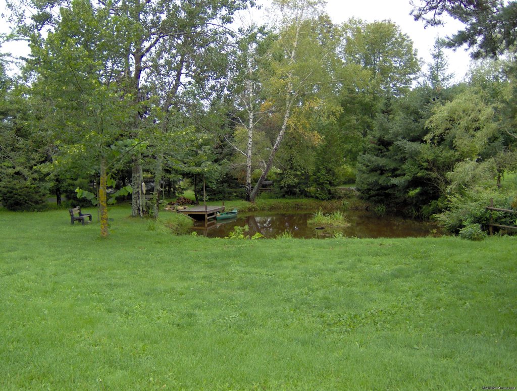 A pond on your doorstep - stocked with brook trout | Trellis House Accommodation | Image #6/8 | 