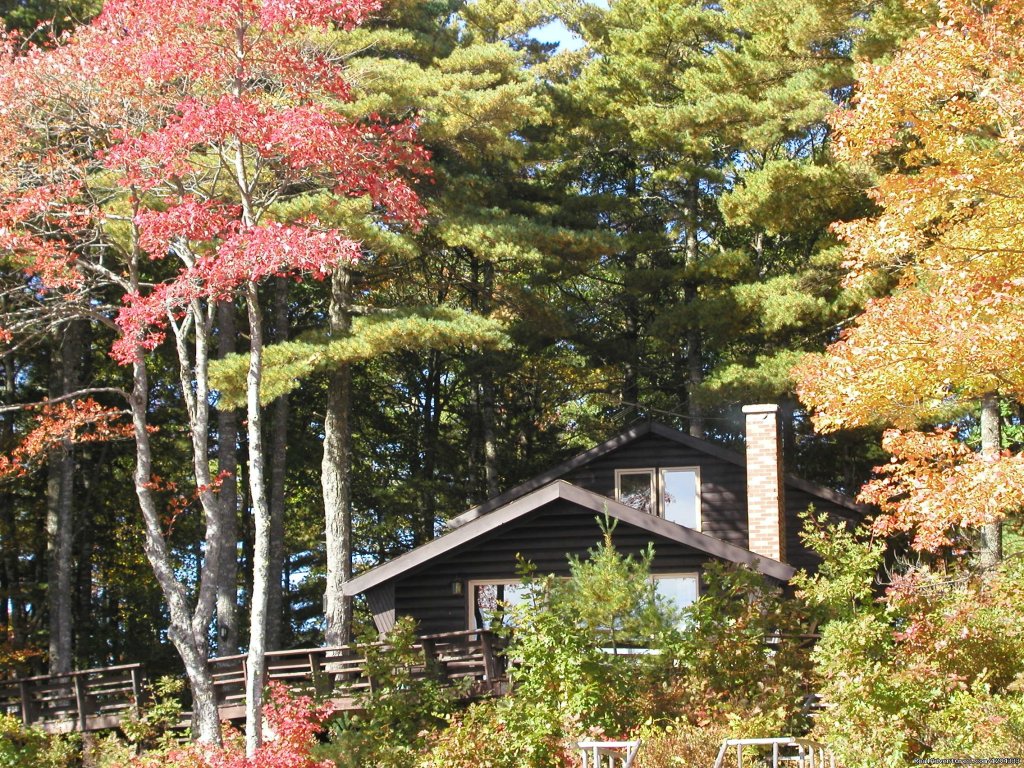 Front of cottage in fall...the leaves are spectacular | Morning Mist Sanctuary & Spa | Image #10/17 | 