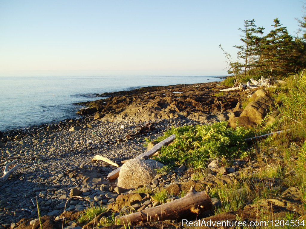 Private Cobble Beach In Secluded Tenting Area | Camp On The Beautiful Bay Of Fundy In Nova Scotia | Image #3/6 | 