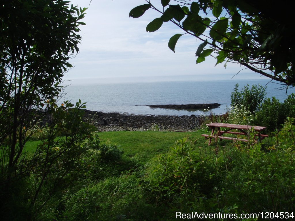Oceanfront Tent Site On The Beautiful Bay Of Fundy | Camp On The Beautiful Bay Of Fundy In Nova Scotia | Image #5/6 | 