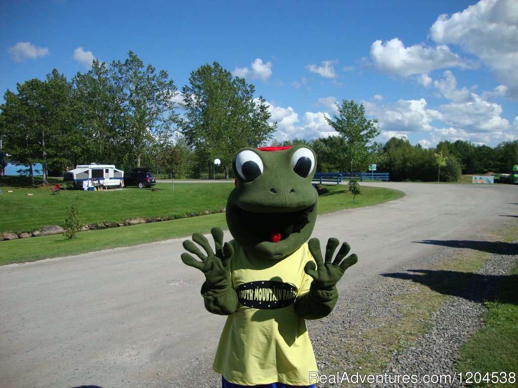 Frogger Saying Hello | South Mountain Park Family Camping & RV Resort | Image #2/3 | 