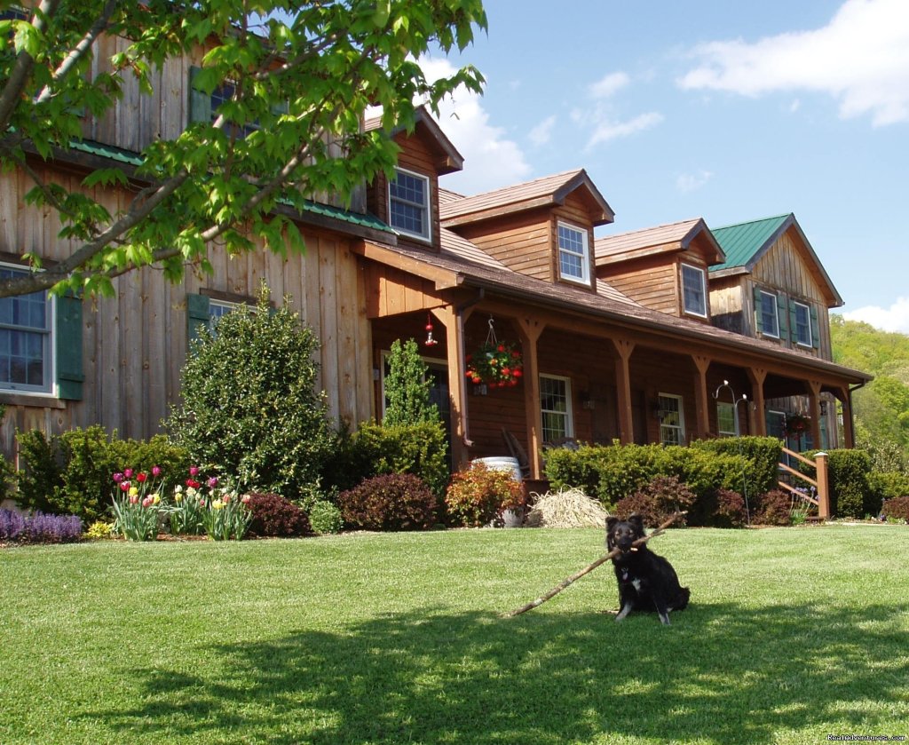 Ellie welcomes visitors to Fox Hill | Enjoy the Great Outdoors at Fox Hill B&B Suites | Image #7/21 | 