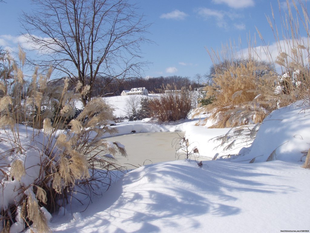 Snow around the ponds | Enjoy the Great Outdoors at Fox Hill B&B Suites | Image #12/21 | 
