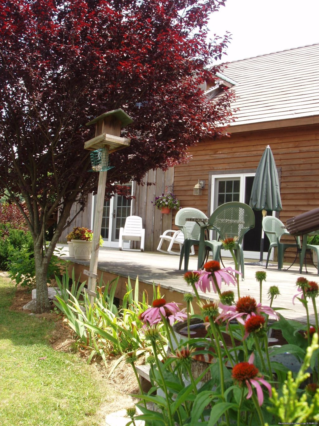 Relax on our back deck | Enjoy the Great Outdoors at Fox Hill B&B Suites | Image #14/21 | 