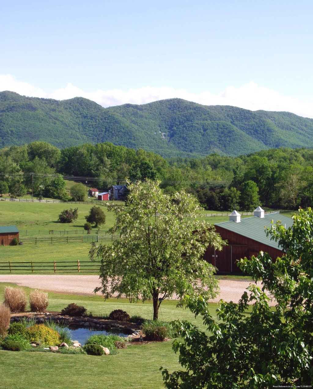 Views from Fox Hill | Enjoy the Great Outdoors at Fox Hill B&B Suites | Image #18/21 | 