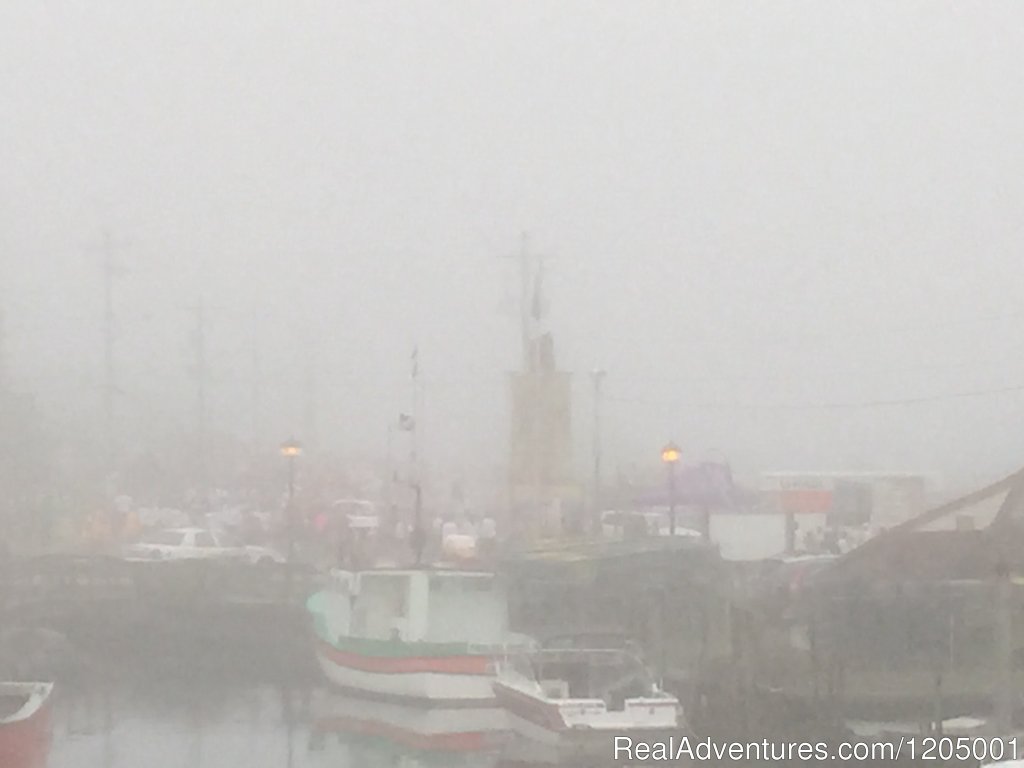 Foggy day and start of Maritime Race Weekend 2015 in Eastern | Inn at Fisherman's Cove with amazing views | Image #2/4 | 