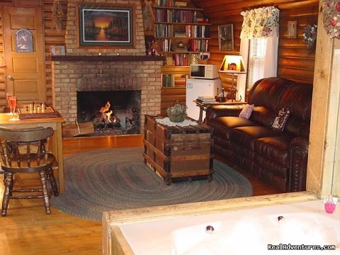 Log Cabin Suite