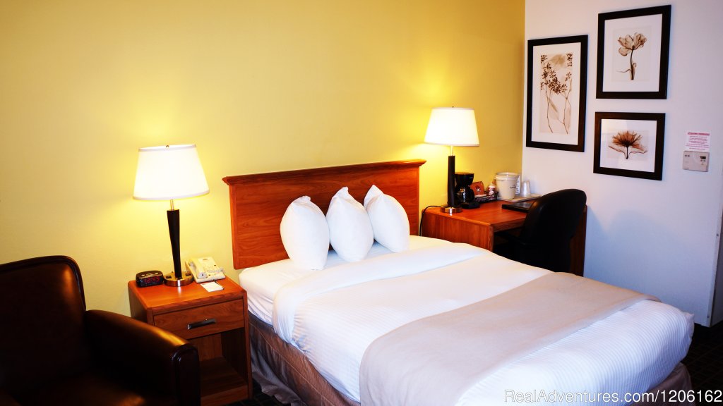 One Bed Handicap Guest Room | AmericInn Madison West | Image #12/23 | 