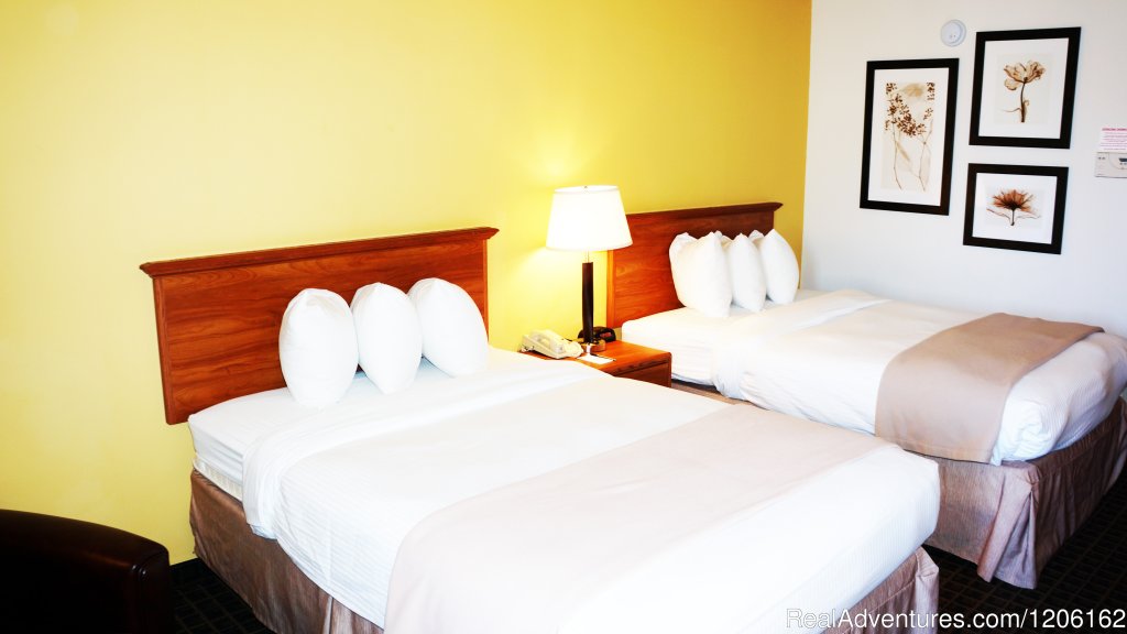 Two Bed Guest Room | AmericInn Madison West | Image #8/23 | 