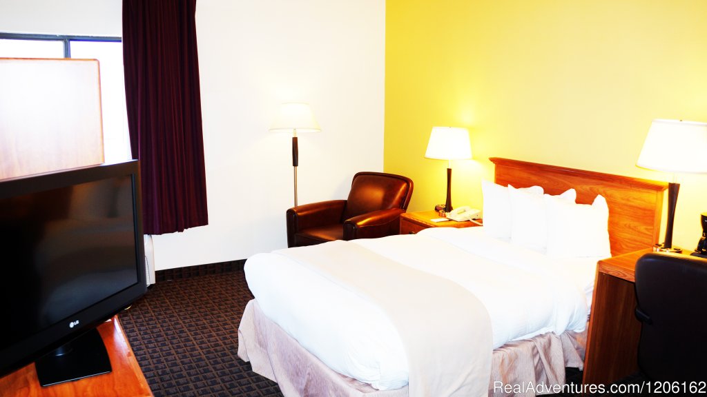 One Bed Handicap Guest Room | AmericInn Madison West | Image #11/23 | 