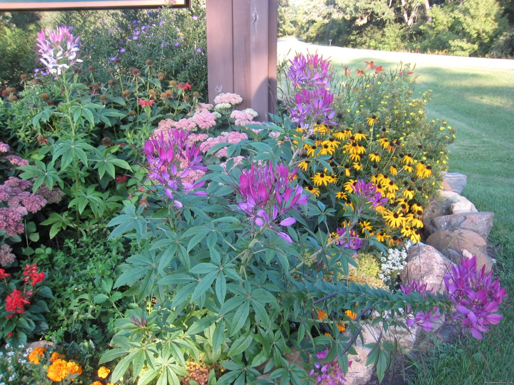 Beautiful Flower Beds | Silver Springs Campsites Inc | Image #10/21 | 