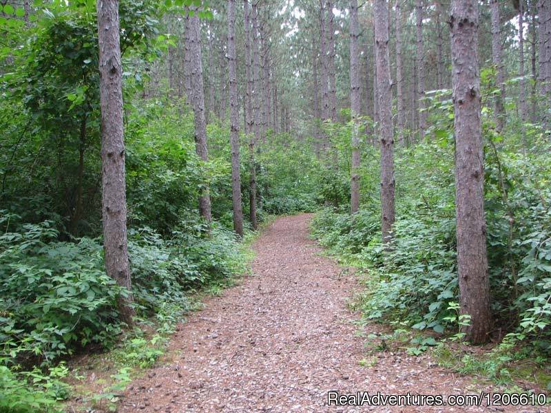 Hiking path | Silver Springs Campsites Inc | Image #13/21 | 