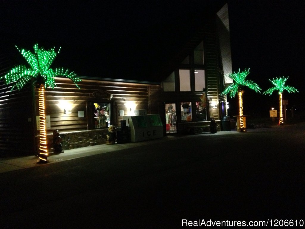 Lighted Palm Trees | Silver Springs Campsites Inc | Image #21/21 | 