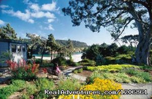 Alegria Oceanfront Inn & Cottages | Mendocino, California | Bed & Breakfasts