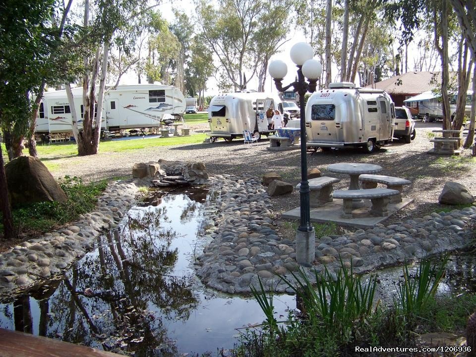 Vineyard RV Park | Vacaville, California  | Campgrounds & RV Parks | Image #1/1 | 