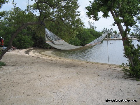 Conch Cove - Boyd's Key West Campground - .florida florida campgrounds & rv 