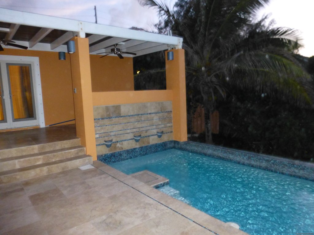 Pool and deck looking to the bar | SeaViewPlay  New Pool & Fabulous Ocean Front Villa | Image #21/26 | 
