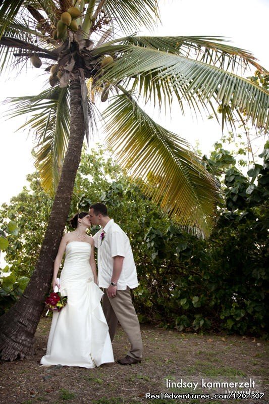 Wedding Couple Kissing under a Palm Tree | SeaViewPlay  New Pool & Fabulous Ocean Front Villa | Image #25/26 | 