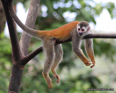 costa rica tours