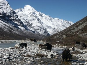 Langtang Trek | Kathmandu, Nepal | Hiking & Trekking