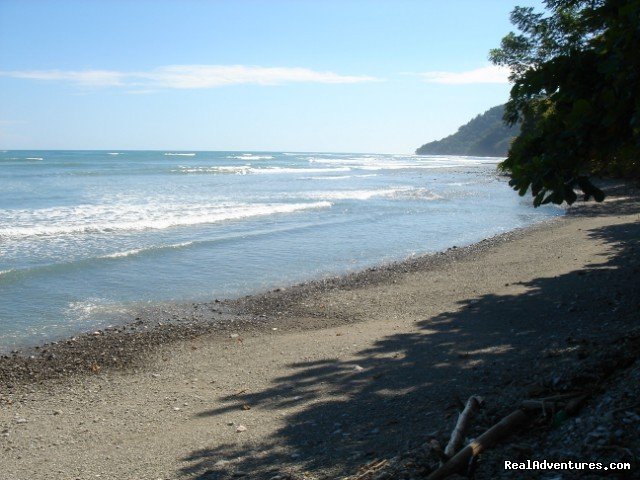 Cabuya Beach | Gentle Earth Juice fasting & health food retreats | Image #17/17 | 