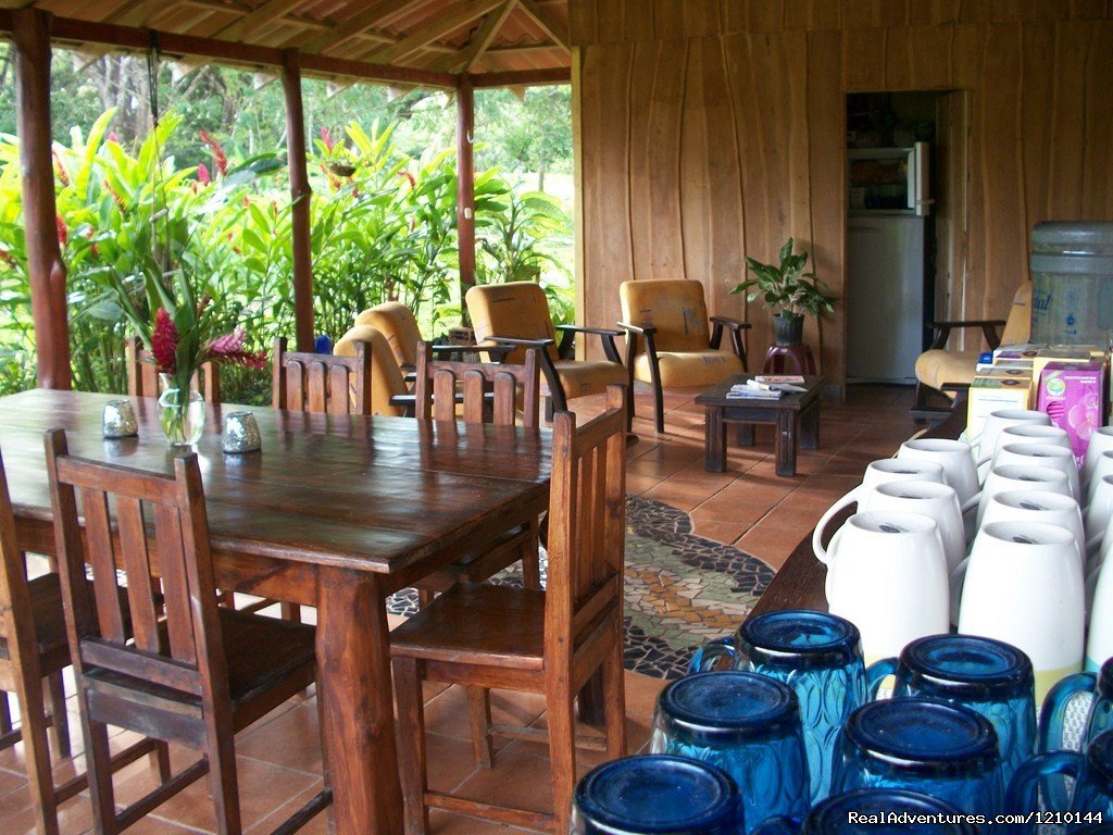 Common Dining And Lounging Area | Gentle Earth Juice fasting & health food retreats | Image #3/17 | 